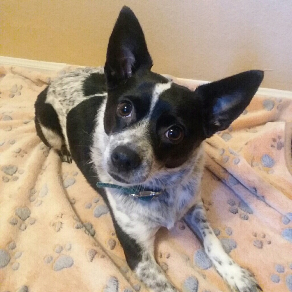 Meet your Posher, Jane